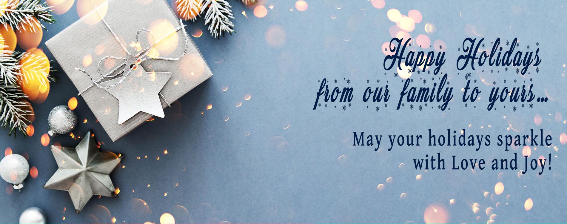 Happy Holidays from our family to yours…May your holidays sparkle with Love and Joy!